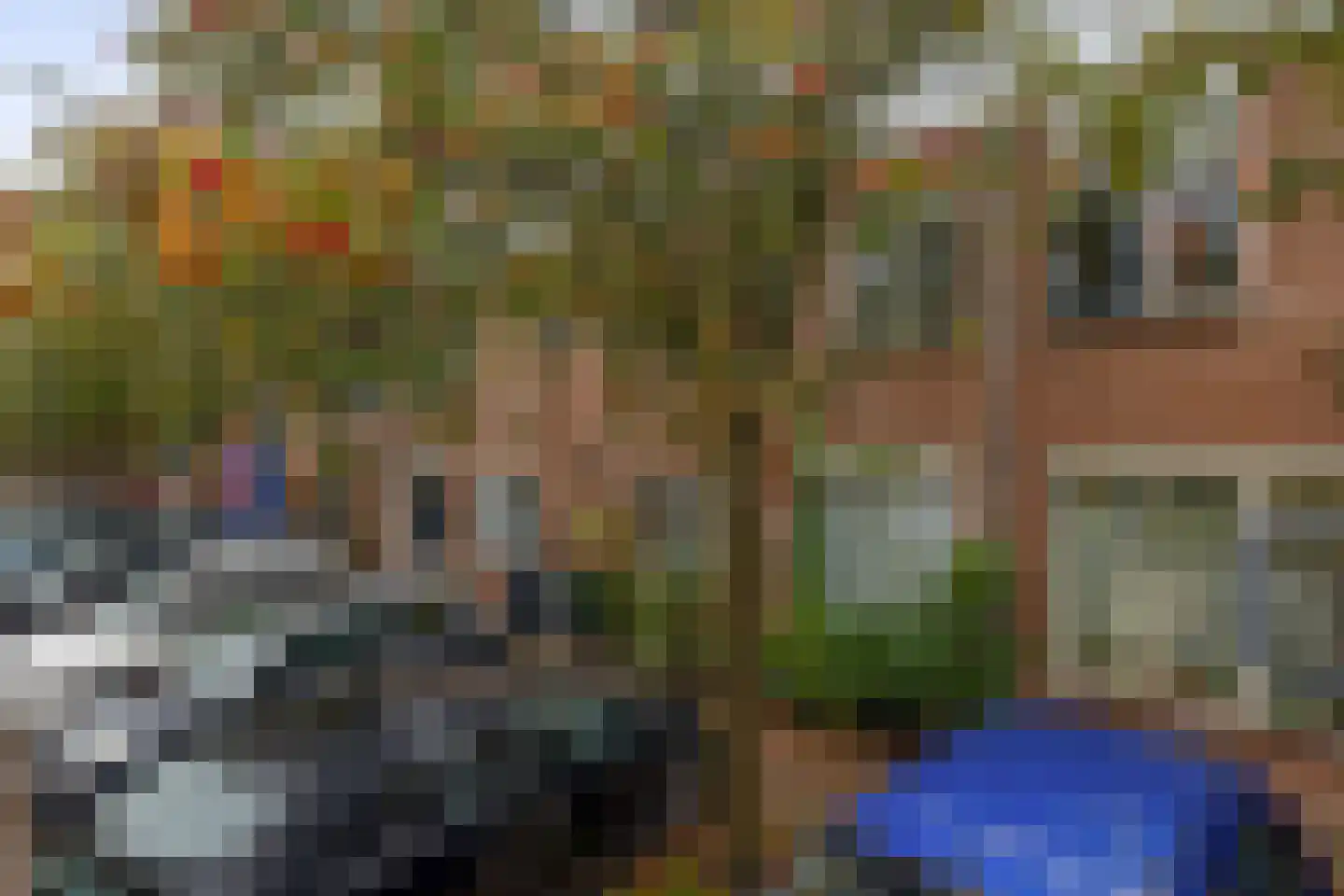 Waardenburgdam 4 Rotterdam thumbnail 5