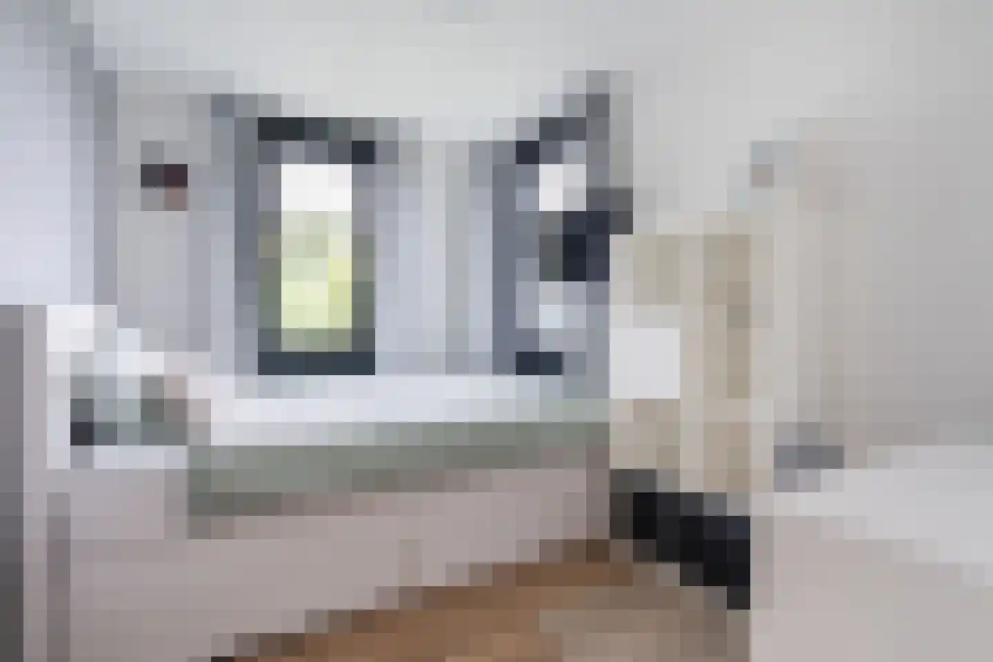 Waardenburgstraat 69 Tilburg thumbnail 18
