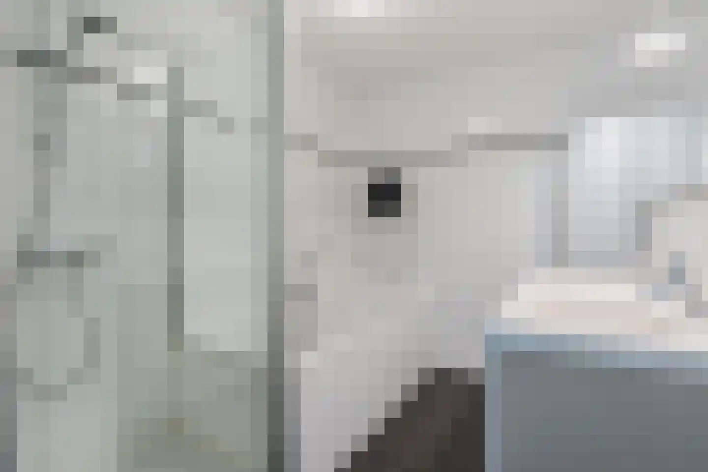 Waardenburgstraat 69 Tilburg thumbnail 21