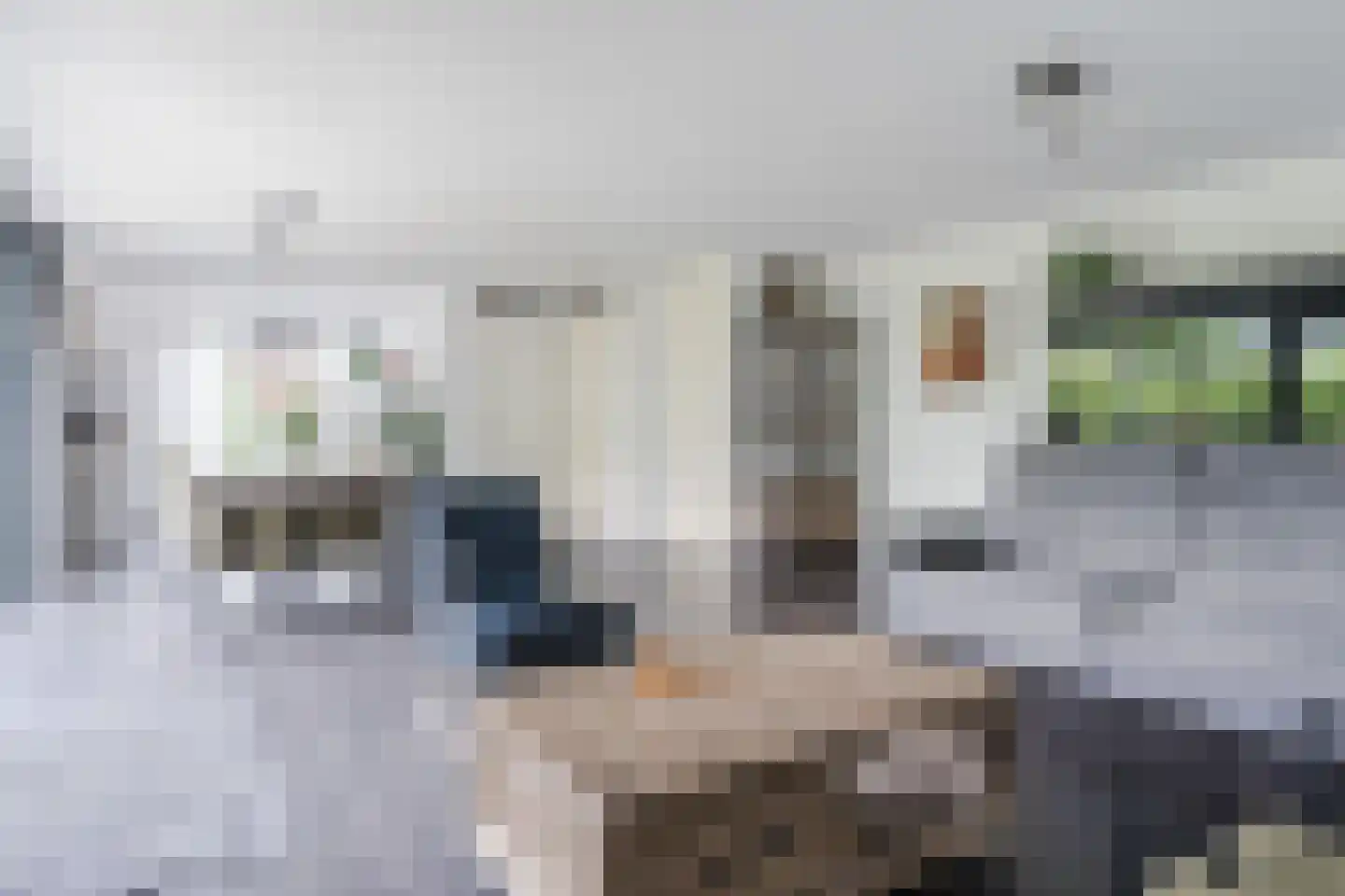 Waardenburgstraat 69 Tilburg thumbnail 8