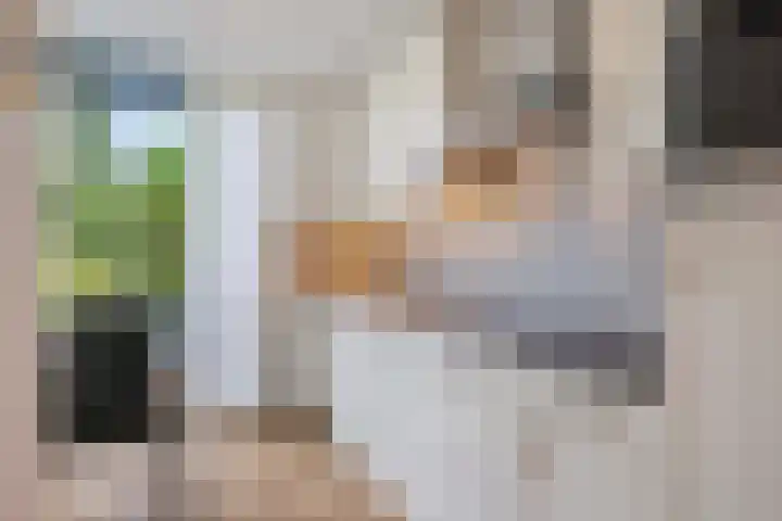 Waardenburgstraat 91 Tilburg thumbnail 11