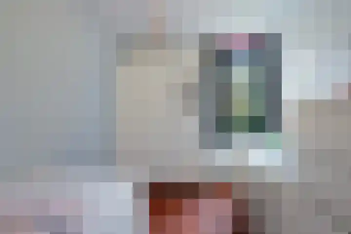 Waardenburgstraat 91 Tilburg thumbnail 19