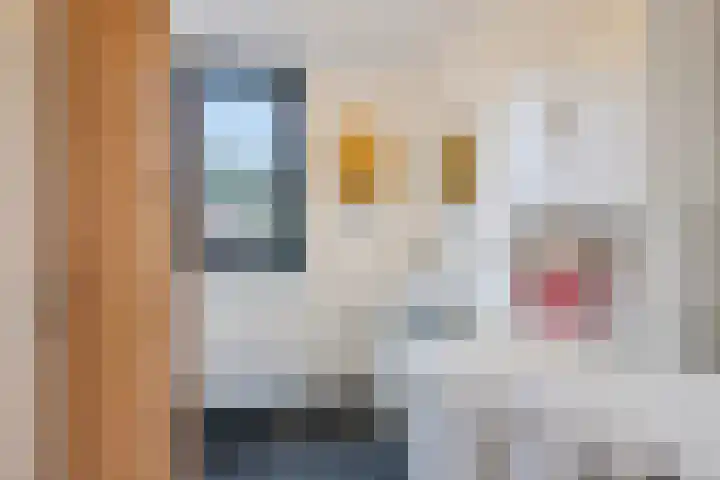 Waardenburgstraat 91 Tilburg thumbnail 27