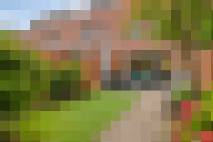 Waardenburgstraat 91 Tilburg thumbnail 31