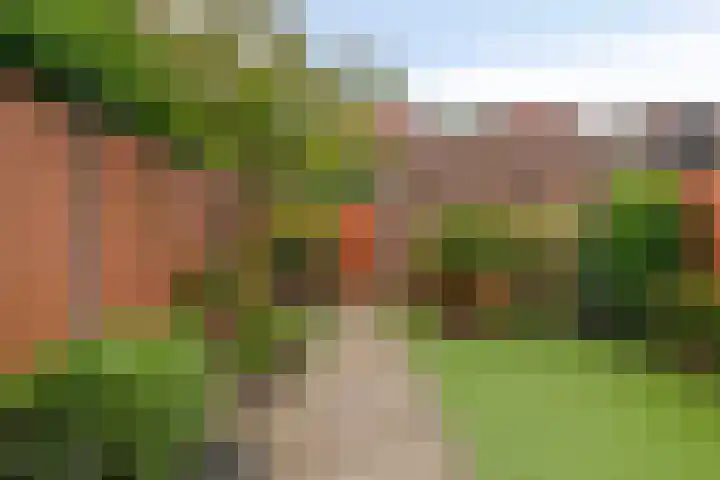 Waardenburgstraat 91 Tilburg thumbnail 33