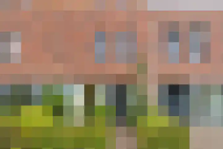 Waardenburgstraat 91 Tilburg thumbnail 35