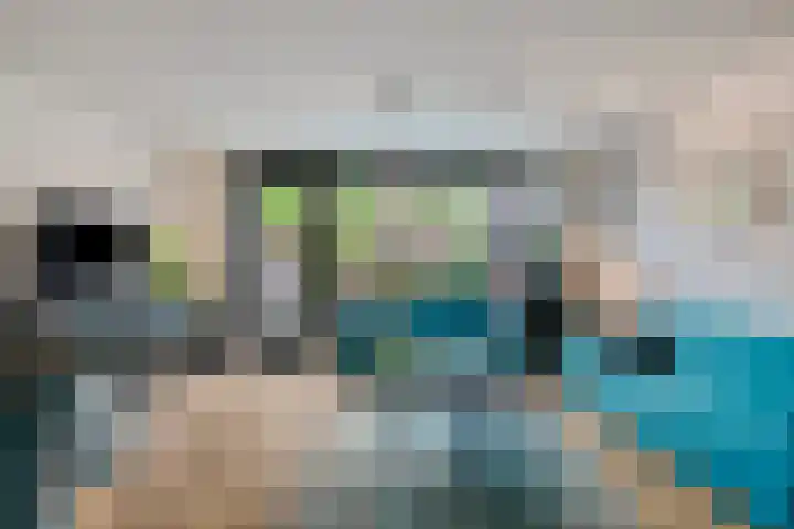 Waardenburgstraat 91 Tilburg thumbnail 5