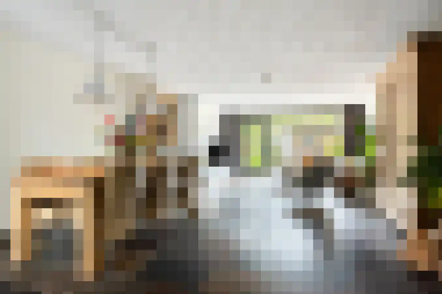 Waardenburgstraat 95 Tilburg thumbnail 10