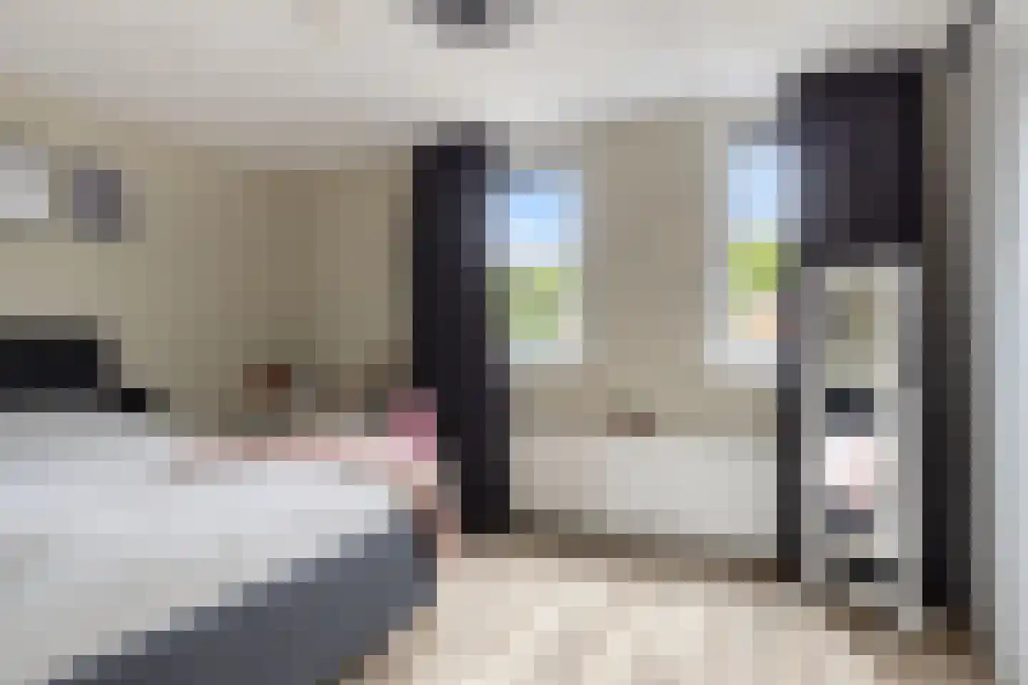 Waardenburgstraat 95 Tilburg thumbnail 24