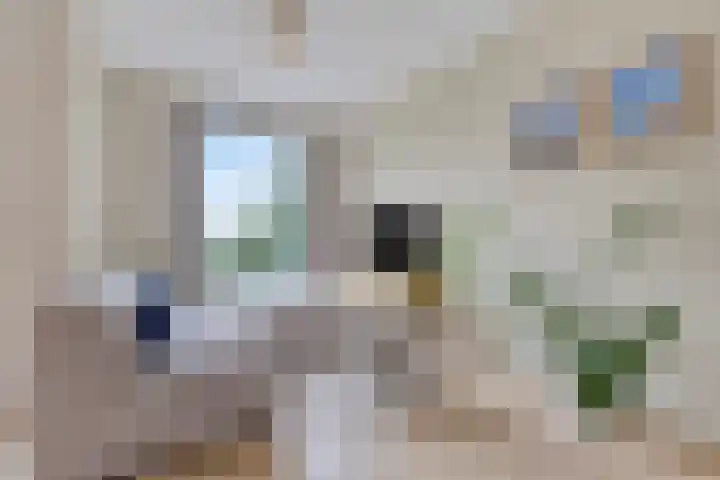 Waardereiland 33 Heerhugowaard thumbnail 20