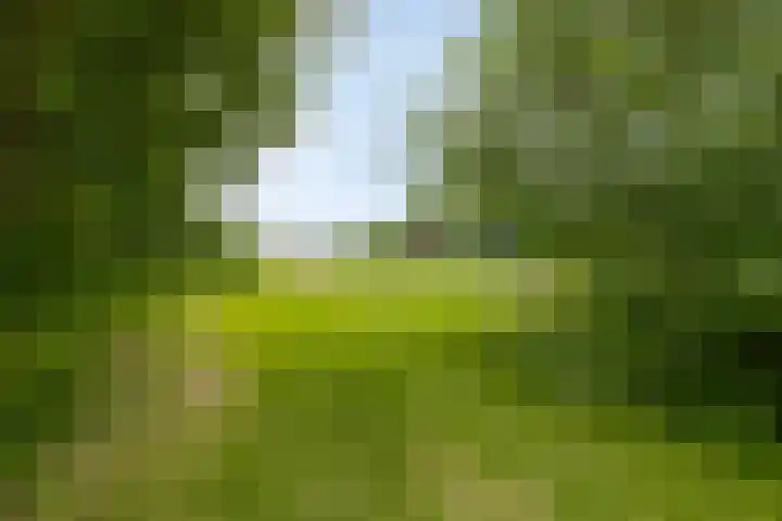 Waardereiland 33 Heerhugowaard thumbnail 35