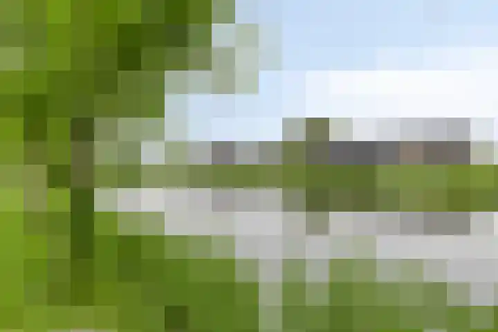 Waardereiland 33 Heerhugowaard thumbnail 36