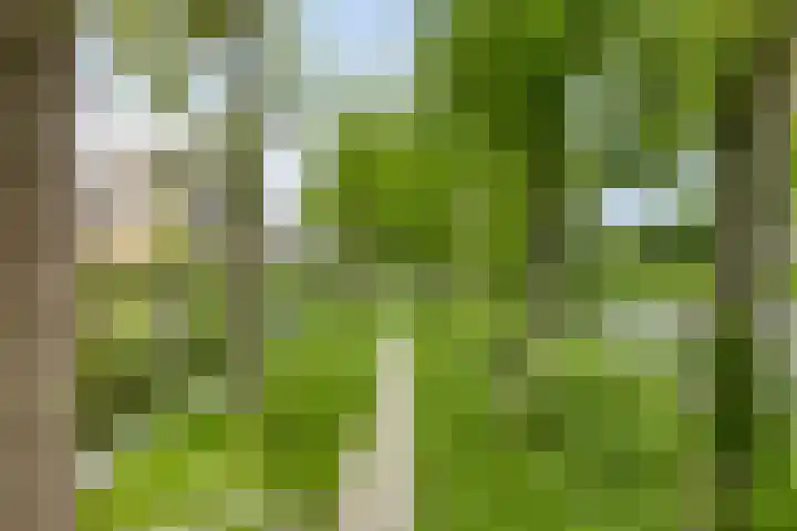 Waardereiland 33 Heerhugowaard thumbnail 37