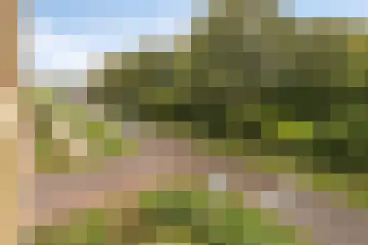 Waardereiland 37 Heerhugowaard thumbnail 13
