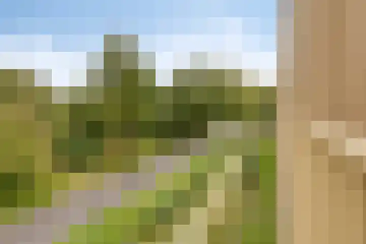 Waardereiland 37 Heerhugowaard thumbnail 14