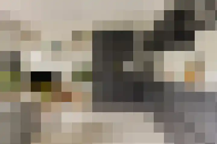 Waardereiland 37 Heerhugowaard thumbnail 9