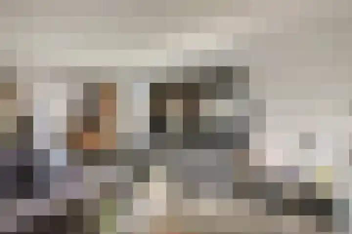 Waarderhaven 6 Haarlem thumbnail 11