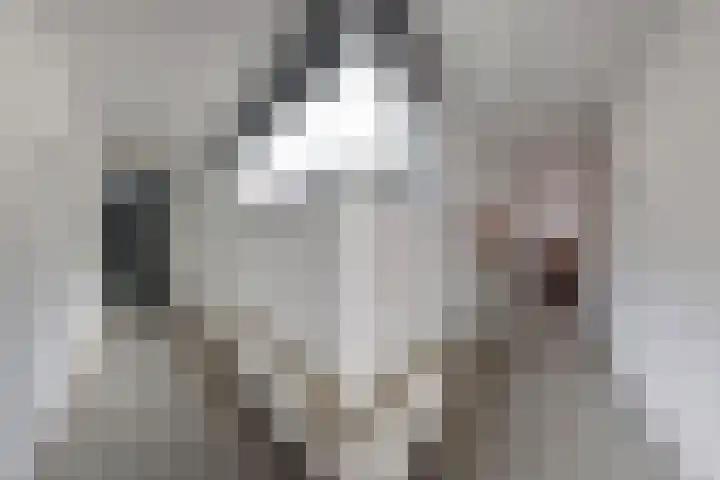Waarderhaven 6 Haarlem thumbnail 31