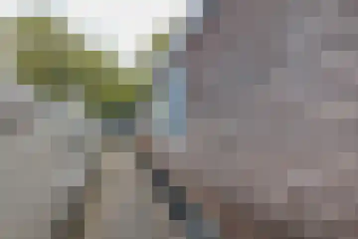 Waarderhaven 6 Haarlem thumbnail 38