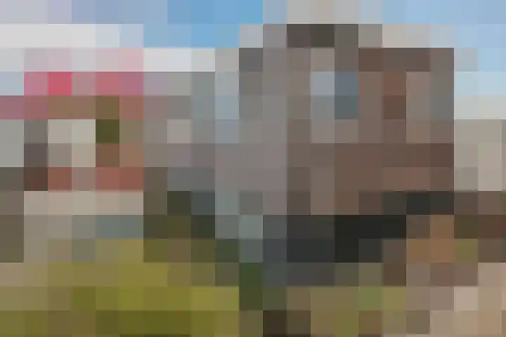 Waarderhaven 6 Haarlem thumbnail 44