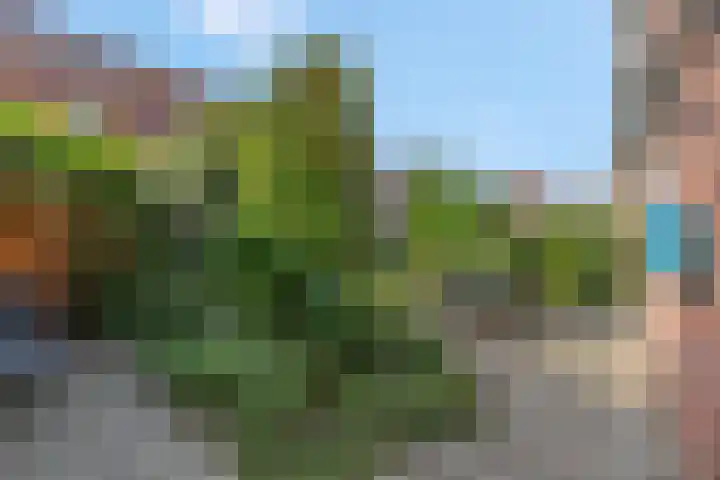 Waarderhout 7 Ede thumbnail 25