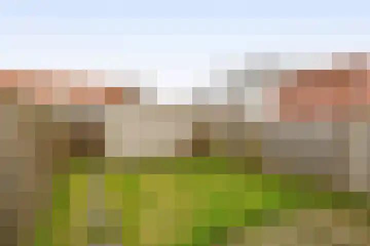 Waarderstraat 127 Zoetermeer thumbnail 18