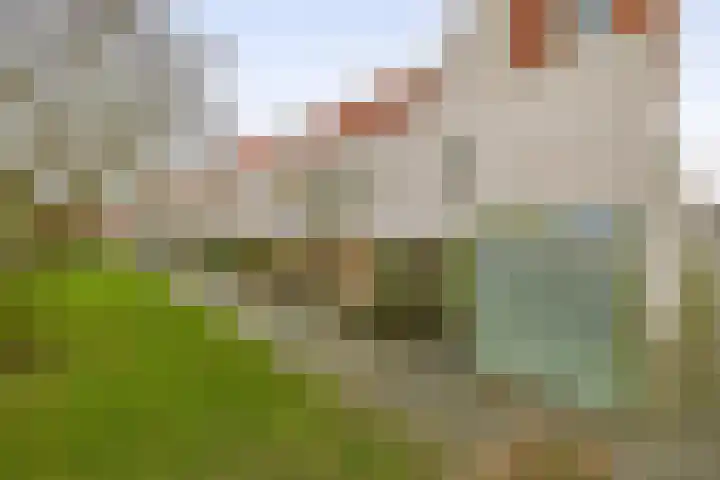 Waarderstraat 127 Zoetermeer thumbnail 5