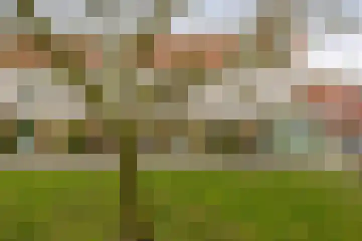Waarderstraat 127 Zoetermeer thumbnail 7