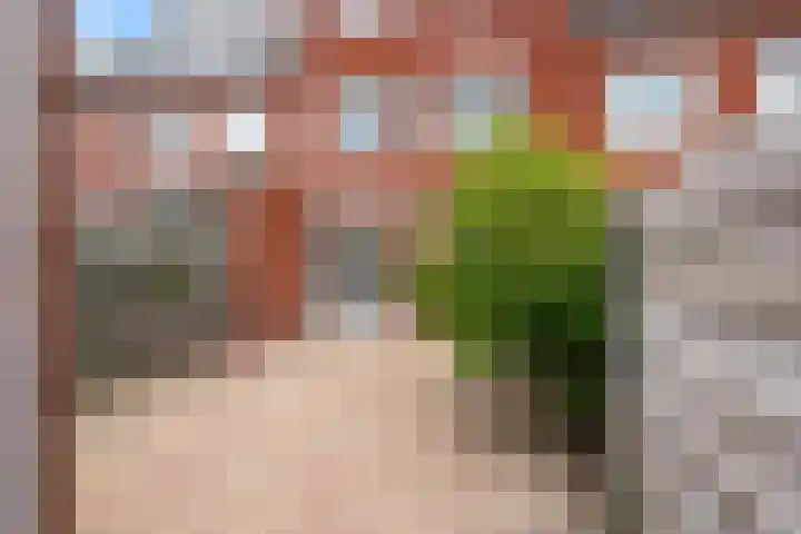 Waarderstraat 164 Zoetermeer thumbnail 38