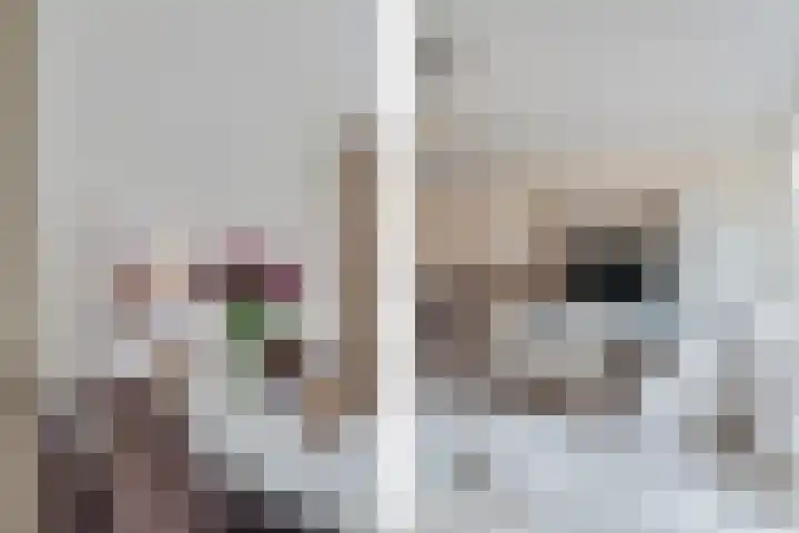 Waarderstraat 164 Zoetermeer thumbnail 8