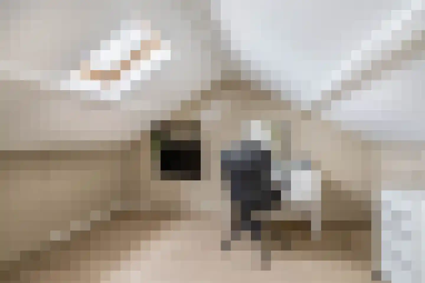 Waarderstraat 2 Rotterdam thumbnail 31