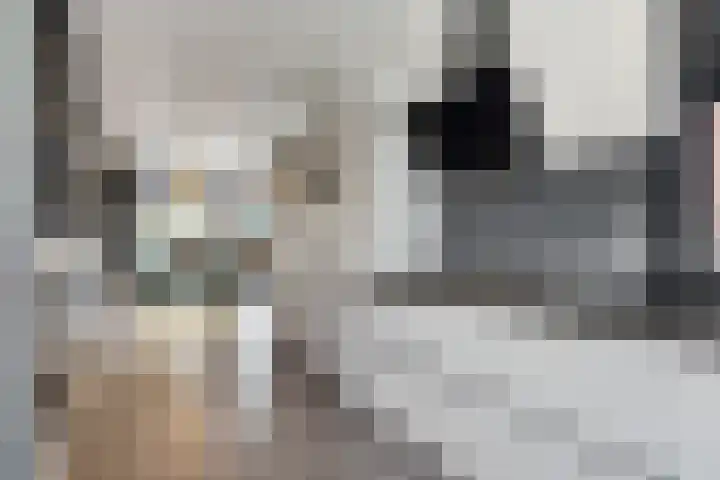 Waarderstraat 253 Zoetermeer thumbnail 18