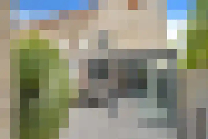 Waarderstraat 253 Zoetermeer thumbnail 31