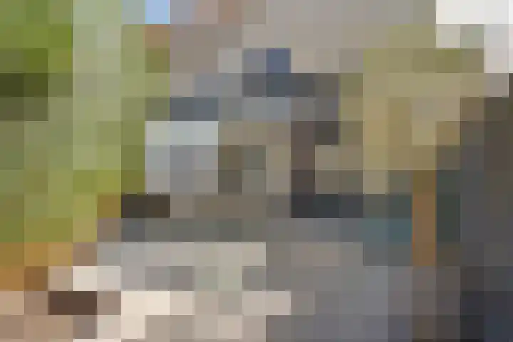 Waarderstraat 253 Zoetermeer thumbnail 32