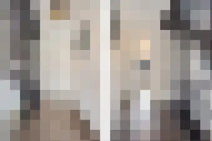 Waarderstraat 253 Zoetermeer thumbnail 33