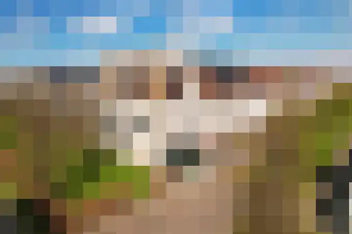 Waarderstraat 253 Zoetermeer thumbnail 4