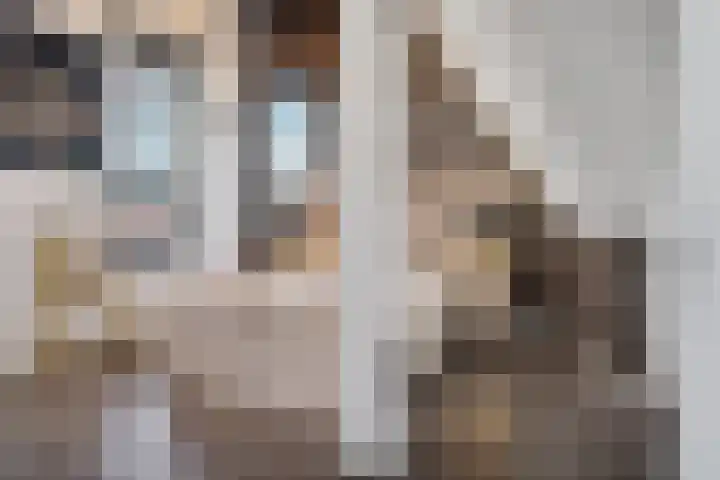 Waarderstraat 253 Zoetermeer thumbnail 47