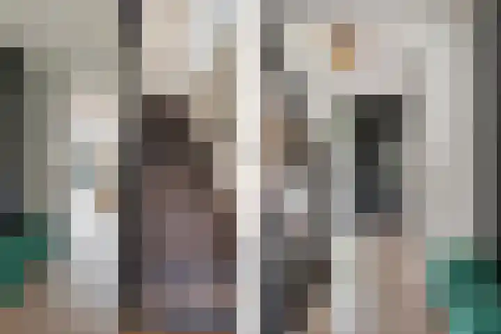 Waarderstraat 253 Zoetermeer thumbnail 5