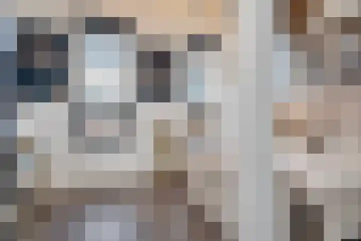 Waarderstraat 253 Zoetermeer thumbnail 51