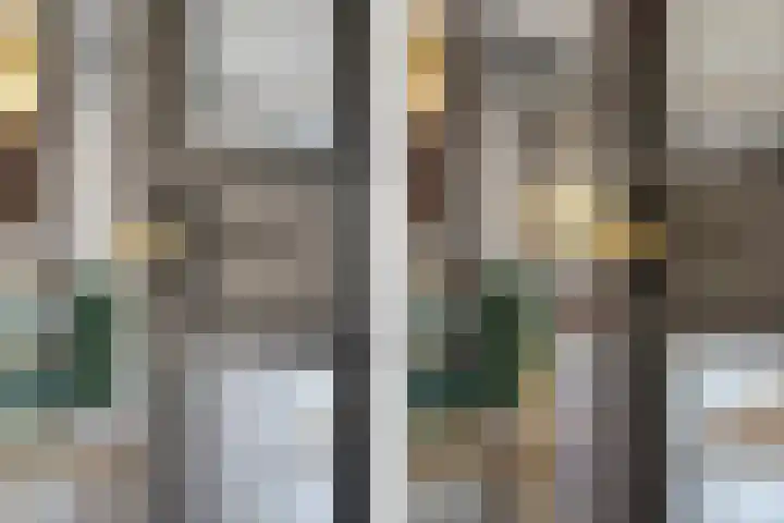 Waarderstraat 253 Zoetermeer thumbnail 8