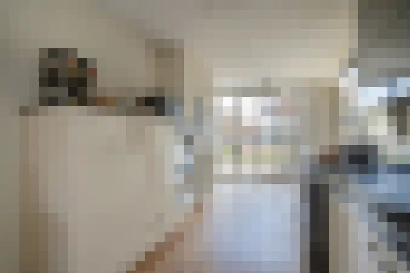 Waarderstraat 73 Zoetermeer thumbnail 17