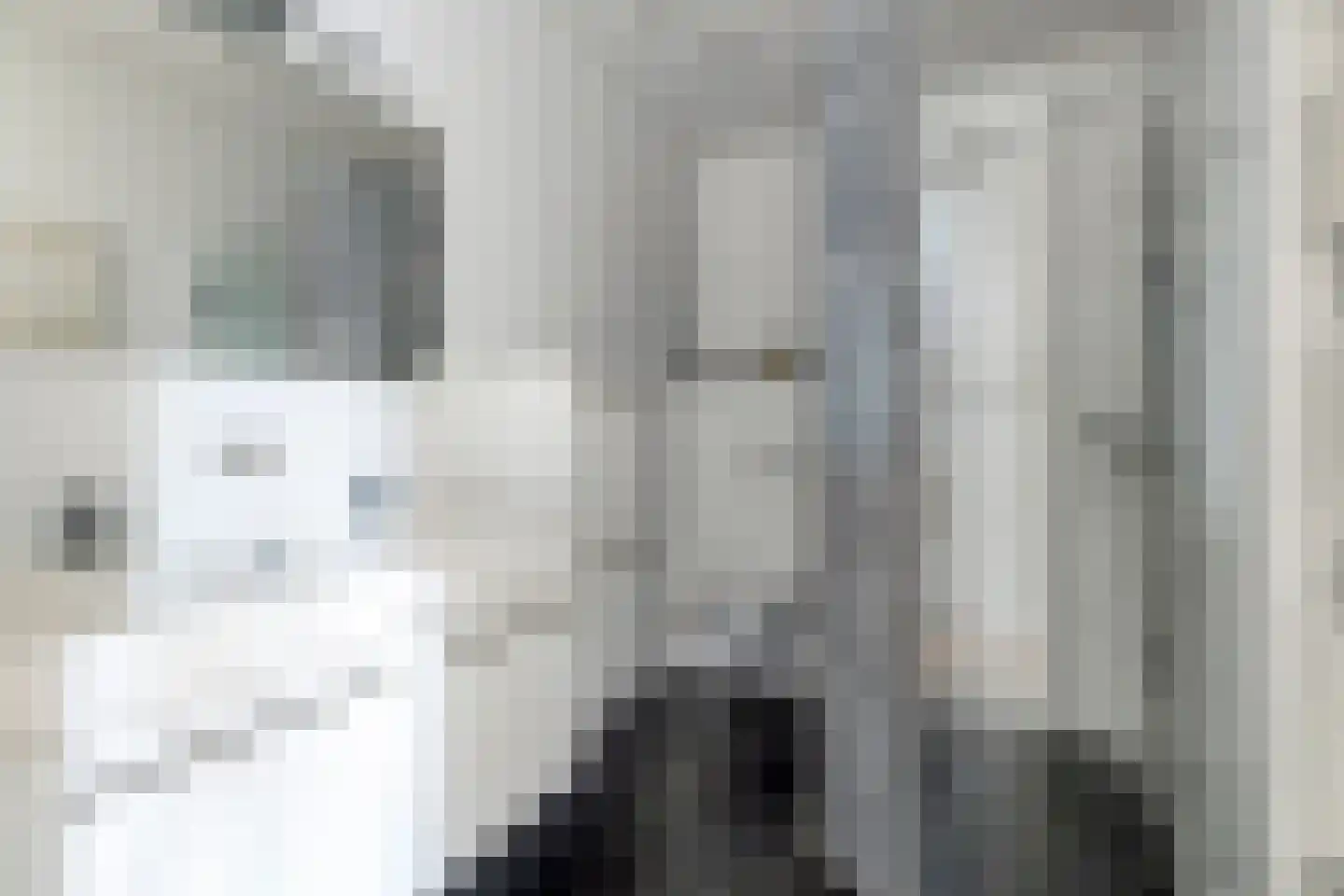 Waarderstraat 73 Zoetermeer thumbnail 28