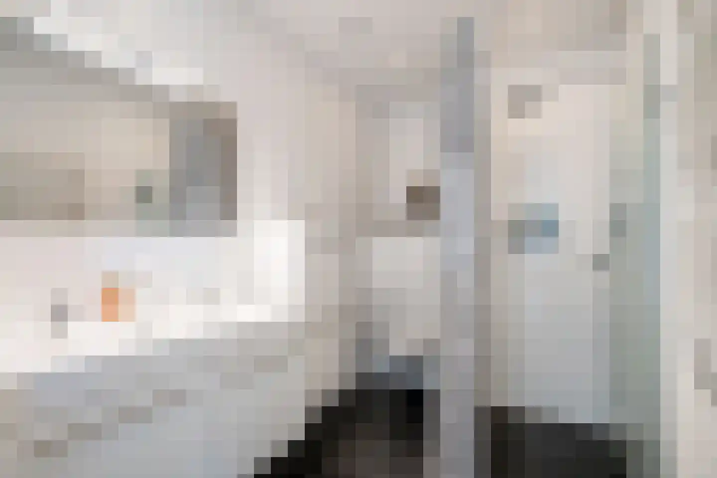 Waarderstraat 73 Zoetermeer thumbnail 30