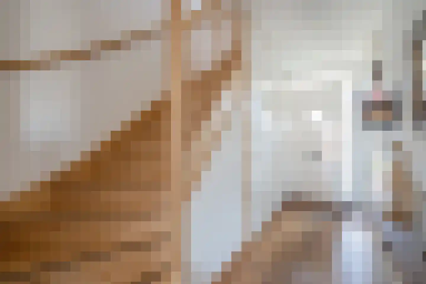Waarderstraat 73 Zoetermeer thumbnail 8