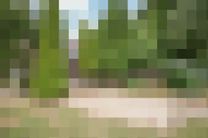 Waarderweg 22 Sint Odiliënberg thumbnail 10