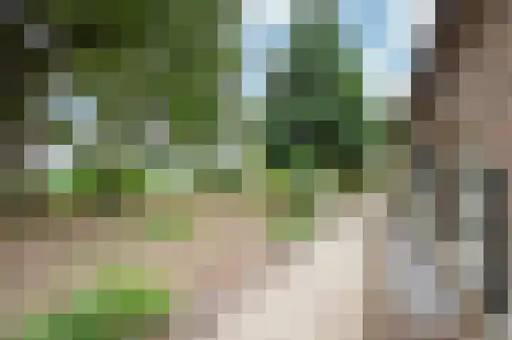 Waarderweg 22 Sint Odiliënberg thumbnail 11