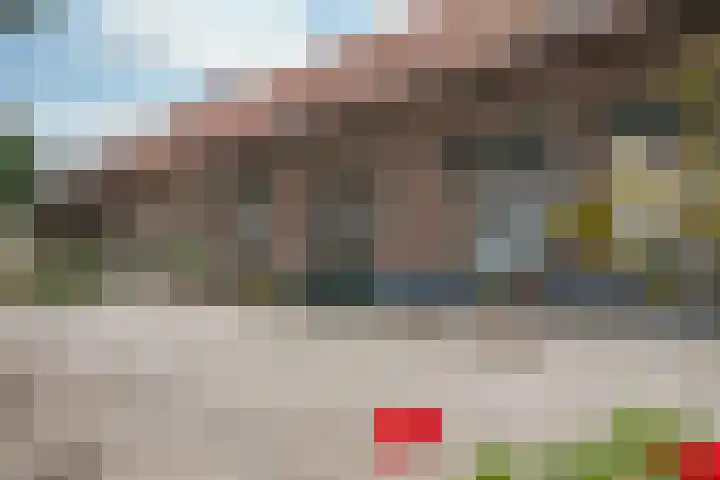 Waarderweg 22 Sint Odiliënberg thumbnail 12