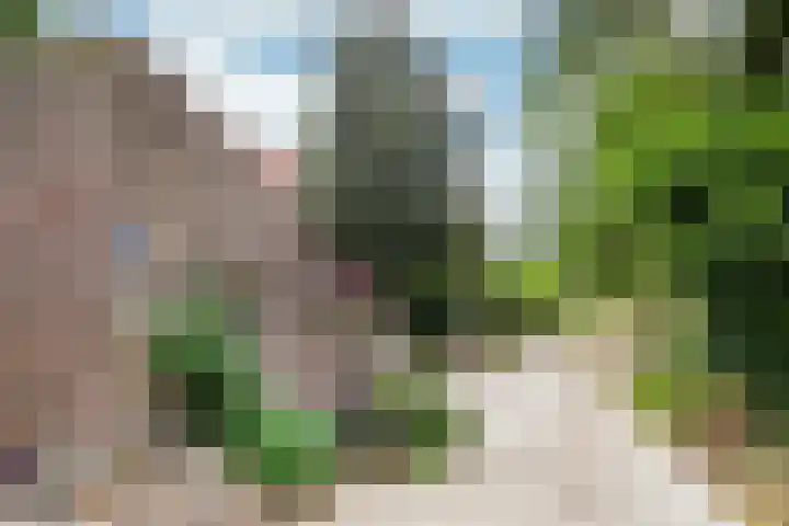 Waarderweg 22 Sint Odiliënberg thumbnail 14