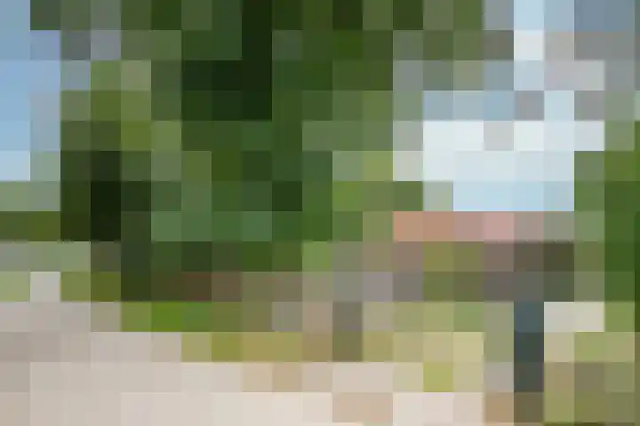 Waarderweg 22 Sint Odiliënberg thumbnail 16