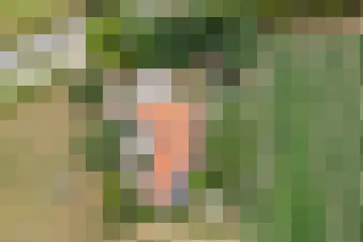 Waarderweg 22 Sint Odiliënberg thumbnail 31